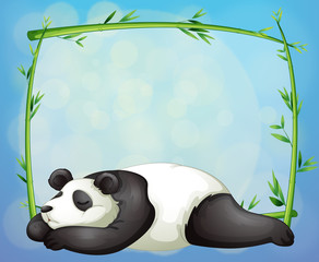 A sleeping panda and the empty frame made of bamboo
