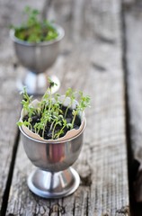 eggs and water cress