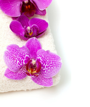 orchids and bath towels