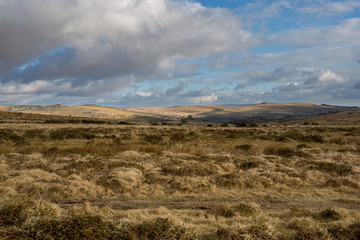 Dartmoor Vista.