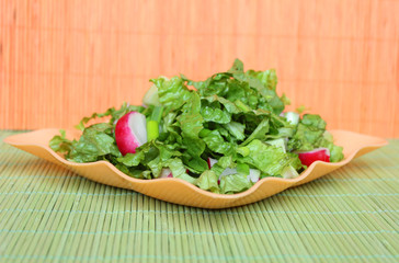Green salad with radish, onion and cucambres