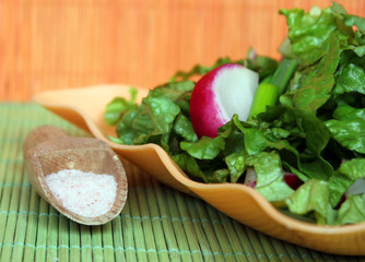 Green salad with radish and cucumbres and himalayan salt