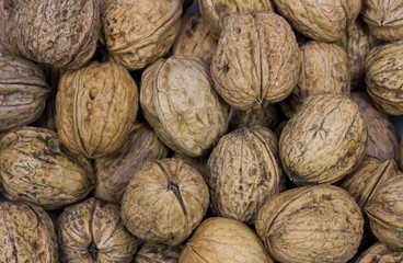 walnut texture