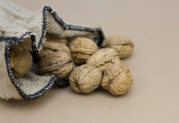 sack full walnuts