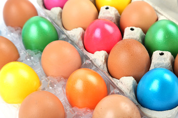 Gefärbte und ungefärbte Eier