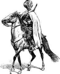 Fototapeta na wymiar mercenary on a horse