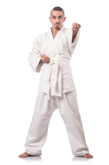 Karate martial arts fighter