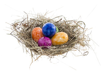 Nest with Easter Eggs on white