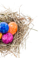 Fototapeta na wymiar Nest with Easter Eggs on white