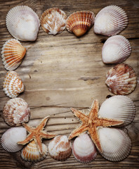 Seashell Frame