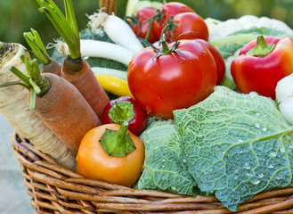 Organic vegetables  in the wicker basket