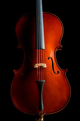 Violin in dark room  - music concept