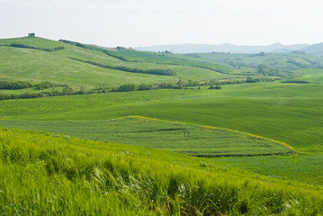 Colline della campagna, Toscana