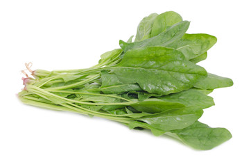 Spinach isolated on white background