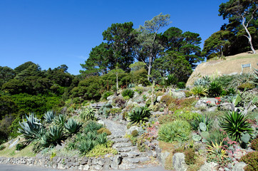 Wellington Botanic Garden © Rafael Ben-Ari