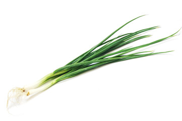 Green onion on white background