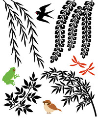 Fototapeta premium 柳と笹と藤の花