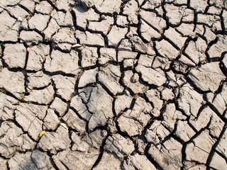 Close-up dry soil background