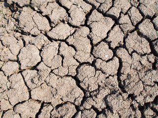 Close-up dry soil background