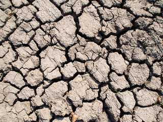 Close-up dry soil background