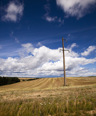 column in the field