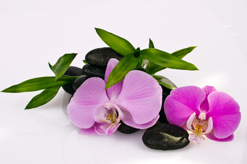 Obraz na płótnie Canvas Wellness: Black stones, pink orchids and bamboo