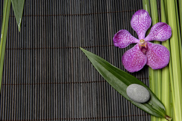 Macro of orchid and spring plant on bamboo stick straw mat
