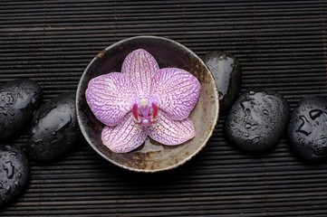 Fototapeta na wymiar Zen Still Life –orchid floating in bowl with wet stones