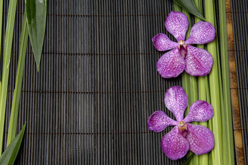 Pink two orchid and spring plant on bamboo stick straw mat