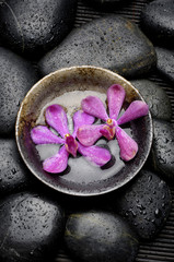 Zen Still Life –pink orchid floating in bowl with wet stones
