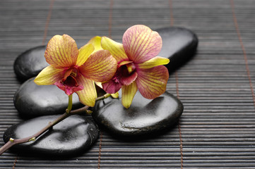 Bright orchid laying on pebbles on bamboo stick straw mat