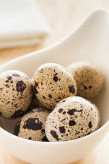 Quail eggs