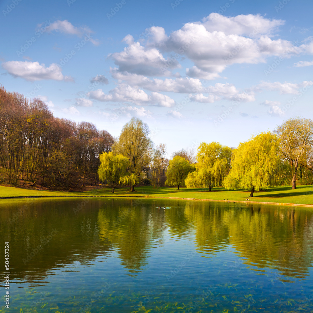 Fototapete Spring Park. Lake in the spring park.