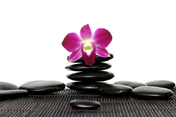Pink orchid on stacked stones in mat