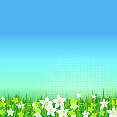 Obraz premium Gutschein Frühling