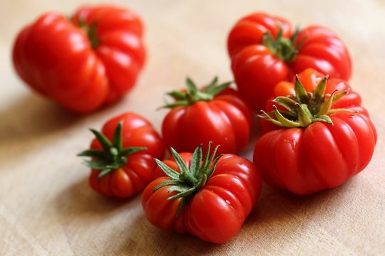 Italian Heirloom Tomatoes