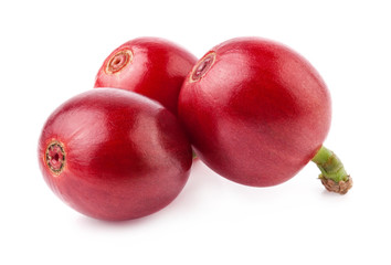 Red coffee beans isolated on white background