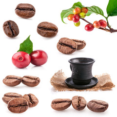 Collections of roasted and red coffee beans, cup of coffee