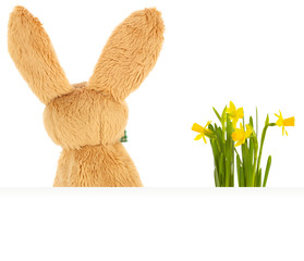 Osterhase von hinten