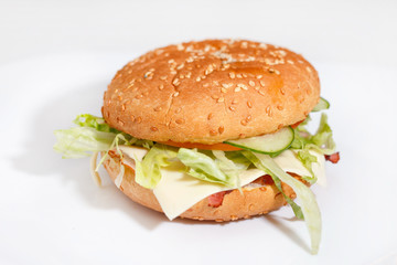 cheeseburger on the white plate