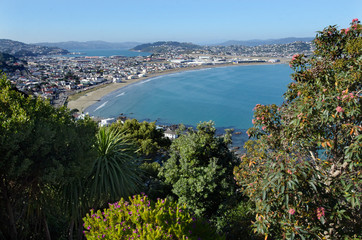 Wellington Cityscape © Rafael Ben-Ari