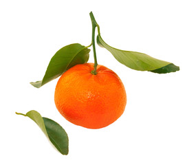 Ripe tangerine with green leaves. Isolated on white