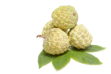 Sugar Apple