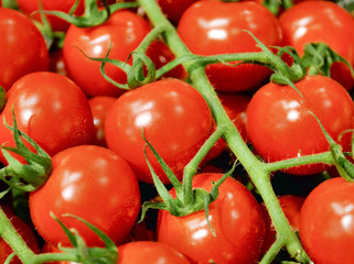 Cherry tomatoes close-up