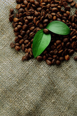 Coffee beans with leaves on sack-cloth background