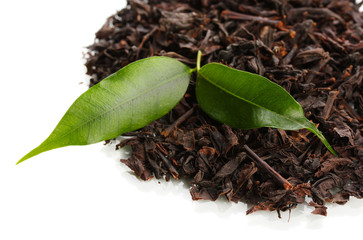 Dry black tea with green leaves, isolated on white