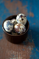 Fresh quail eggs