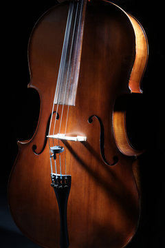 Cello orchestra musical instruments.