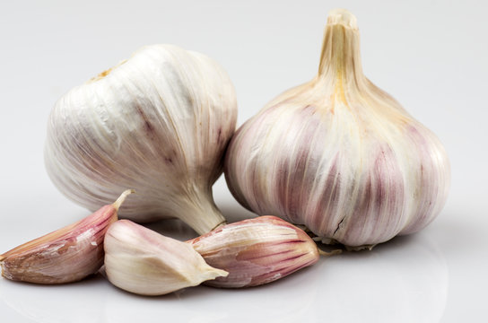 Garlic 22