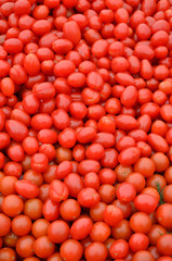 Fresh pomodori Italian tomatoes background